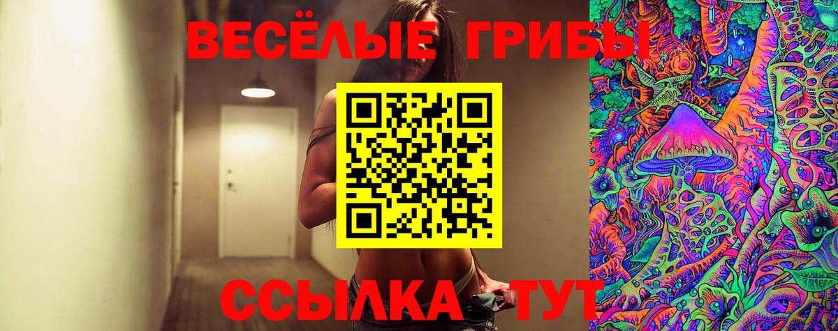 Холмск  Псилоцибиновые грибы Psilocybe  Псилоцибиновые грибы прущие грибы  Вход с VPN 